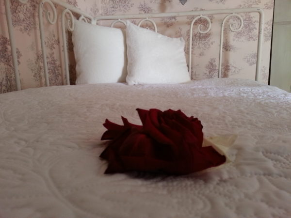 Chambre Rose des Bois